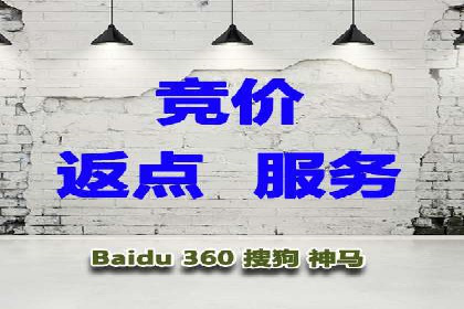 揭秘推广竞价：实战案例深度剖析